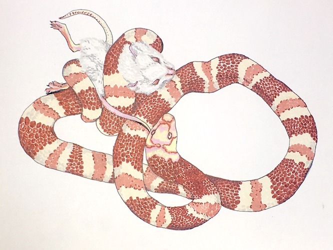 Mode et Millenials : un jeune créateur nous parle perception de marque