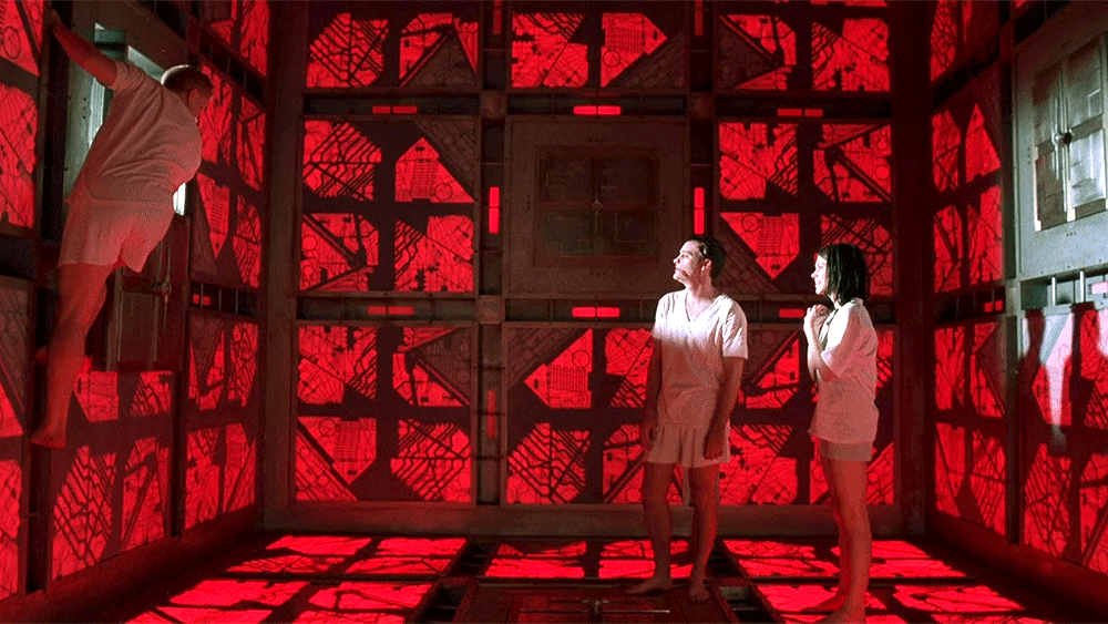 Domitien de Williencourt : la règle comme stratégie de jeu